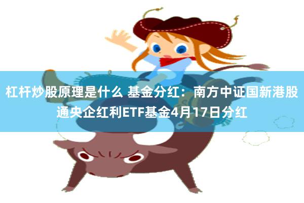 杠杆炒股原理是什么 基金分红：南方中证国新港股通央企红利ETF基金4月17日分红