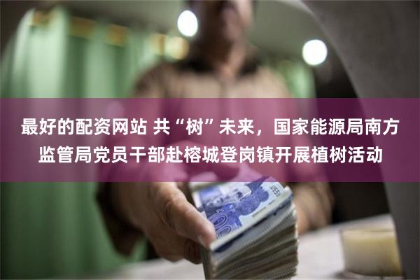 最好的配资网站 共“树”未来，国家能源局南方监管局党员干部赴榕城登岗镇开展植树活动