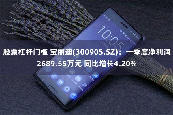 股票杠杆门槛 宝丽迪(300905.SZ)：一季度净利润2689.55万元 同比增长4.20%