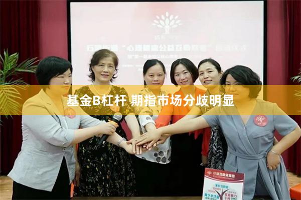 基金B杠杆 期指市场分歧明显