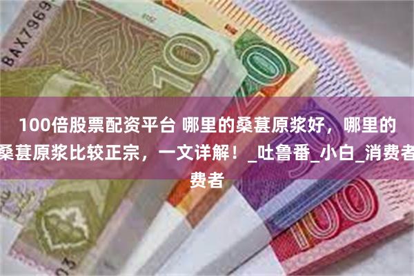 100倍股票配资平台 哪里的桑葚原浆好，哪里的桑葚原浆比较正宗，一文详解！_吐鲁番_小白_消费者