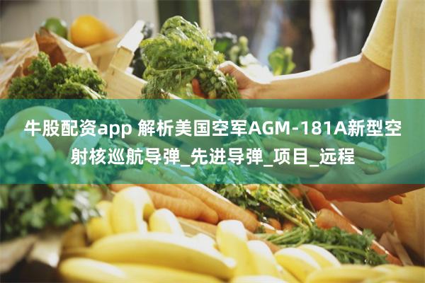 牛股配资app 解析美国空军AGM-181A新型空射核巡航导弹_先进导弹_项目_远程