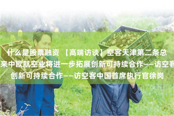 什么是股票融资 【高端访谈】空客天津第二条总装线明年投入使用 未来中欧航空业将进一步拓展创新可持续合作——访空客中国首席执行官徐岗