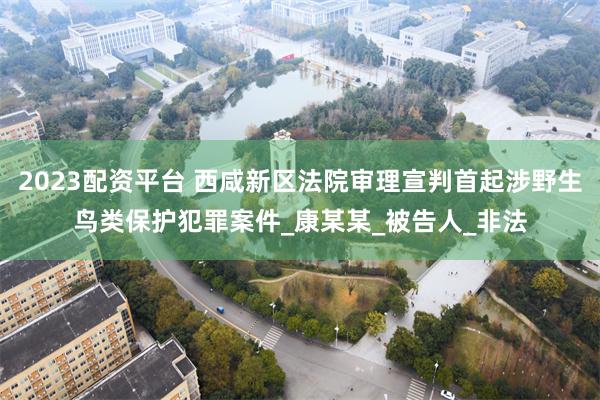 2023配资平台 西咸新区法院审理宣判首起涉野生鸟类保护犯罪案件_康某某_被告人_非法