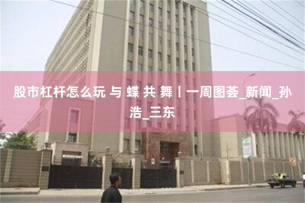 股市杠杆怎么玩 与 蝶 共 舞丨一周图荟_新闻_孙浩_三东