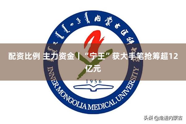 配资比例 主力资金丨“宁王”获大手笔抢筹超12亿元