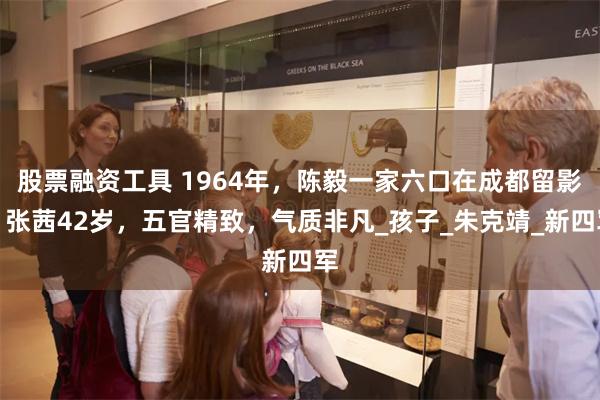 股票融资工具 1964年，陈毅一家六口在成都留影，张茜42岁，五官精致，气质非凡_孩子_朱克靖_新四军