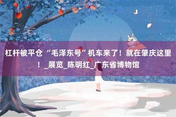 杠杆被平仓 “毛泽东号”机车来了！就在肇庆这里！_展览_陈明红_广东省博物馆