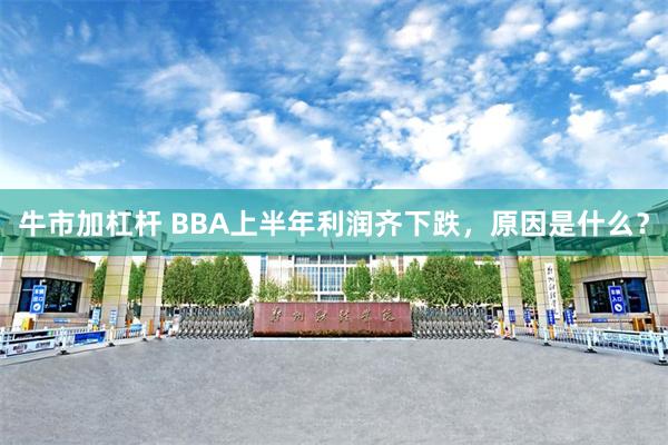 牛市加杠杆 BBA上半年利润齐下跌，原因是什么？