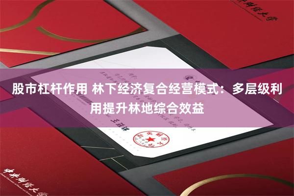 股市杠杆作用 林下经济复合经营模式：多层级利用提升林地综合效益
